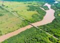 Arauco obtém Licença Prévia para o Projeto Sucuriú, em Inocência, MS