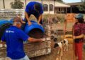 Prefeitura entrega mais de  600 toneladas de adubos para a agricultura familiar