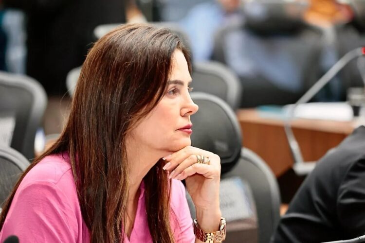 Deputada solicita ar-condicionado para escola, no interior de MS