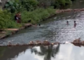 “Balneário é pros fracos”: Leitora flagra crianças tomando banho no Prosa e reacende alerta