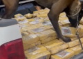 Cão farejador encontra 126 quilos de droga em camionete de transportadora de veículos