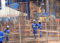 Depois da folia: MS tem 5 mil vagas de emprego em diferentes cidades