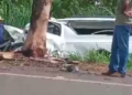 Condutor de carro funerário morre, após colidir em árvore na BR-262