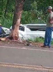 Condutor de carro funerário morre, após colidir em árvore na BR-262