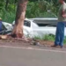 Condutor de carro funerário morre, após colidir em árvore na BR-262