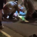Policial militar é atropelado por moto ao conter confusão em evento de influenciador