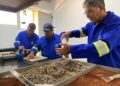 Águas Guariroba tem laboratório que analisa solo para garantir qualidade de serviços em ruas