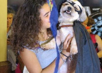 Fofura e folia: Carnaval dos pets terá Cãocurso de fantasias e encontro de “salshichas”