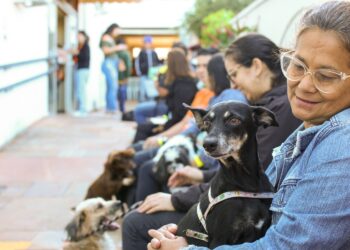 Nódulos em pets não devem ser ignorados, destaca veterinário da Subea