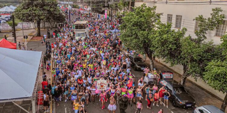 Carnaval 2024 na Capital reúne 80 mil foliões tanto nos blocos como na Praça do Papa