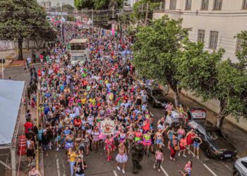 Carnaval 2024 na Capital reúne 80 mil foliões tanto nos blocos como na Praça do Papa