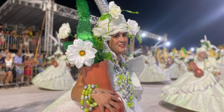 Carnaval 2024 na Capital reúne 80 mil foliões tanto nos blocos como na Praça do Papa
