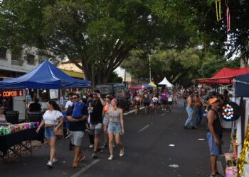 Carnaval 2024 injetou R$ 20 milhões na economia de Campo Grande