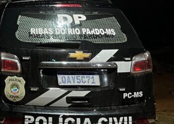 Homem mata cachorro a pauladas e é preso em Ribas do Rio Pardo