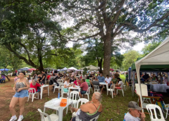 Fim de semana tem Sarau Cultural, encontro de brechós, enterro dos ossos e Feira Bosque da Paz