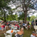 Fim de semana tem Sarau Cultural, encontro de brechós, enterro dos ossos e Feira Bosque da Paz