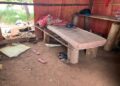 Força-tarefa resgata cinco paraguaios de trabalho análogo à escravidão em MS