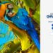 Para segurança digital, Governo de MS regulamenta novo portal e-Fazenda