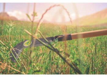 Homem que invadiu casa e matou casal a golpes de foice, “do nada”, é preso, em MS