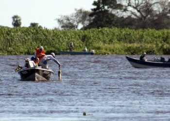 A partir desta quinta, modalidade ‘pesque e solte’ está liberada nos rios Paraguai e Paraná