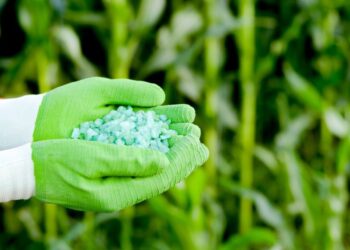 País quer ser autossuficiente na produção de fertilizantes e especialista aponta o lado positivo