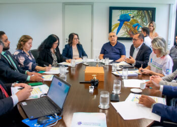 TCE-MS e parceiros do Programa da Primeira Infância definem ações para 2024