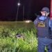 Rapaz “roleta” rotatória de moto, colide em poste e morre, em Douradina