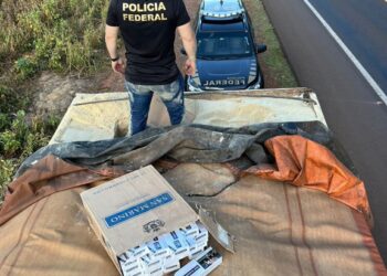 Polícia Federal apreende caminhão com 800 caixas de cigarros contrabandeados, em MS