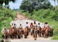 Ministério da Agricultura confirma MS como área livre de febre aftosa sem vacinação