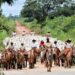 Ministério da Agricultura confirma MS como área livre de febre aftosa sem vacinação