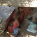 Mulher morre em pousada de MS ao ser atingida por raio
