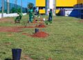 Empresas celebram o Dia Internacional das Florestas com plantio de 200 árvores na capital