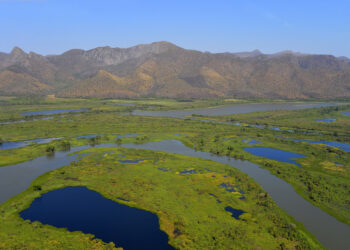 No mês das Águas, exposição ‘Pantanal – Águas que Conectam’, é aberta ao público