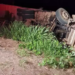 Condutor de carreta com bois tomba veículo e morre em distrito de Caracol