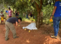 Jovem é brutamente agredido e morto em aldeia de MS