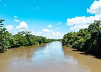 Homem só de cueca e com os pés amarrados é encontrado morto e em decomposição