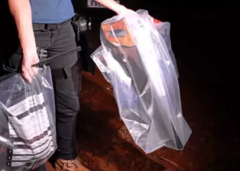 Irmão corta o pescoço da irmã com serrote, no Centenário