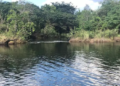 Natural de Dourados, homem morre ao atravessar rio, em Goiás