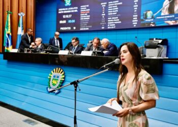 Deputada trabalha pela instalação de Salas Lilás em todos os municípios de MS