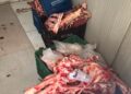 Fornecedora é presa por enviar às escolas carne de abate clandestino e sem higiene