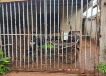 Traficantes que vendiam o “tóxico” no Itamaracá são presos e responsáveis por roubo de moto