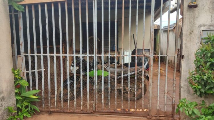 Traficantes que vendiam o “tóxico” no Itamaracá são presos e responsáveis por roubo de moto