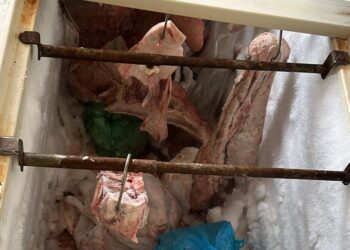 “Que nojo”: 200 quilos de carne podre e cigarros do Paraguai vendidos ao consumidor