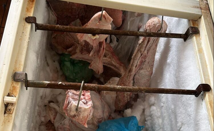 “Que nojo”: 200 quilos de carne podre e cigarros do Paraguai vendidos ao consumidor