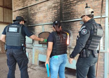 Polícia Civil incinera droga avaliada em mais de R$ 2 milhões, em Amambai