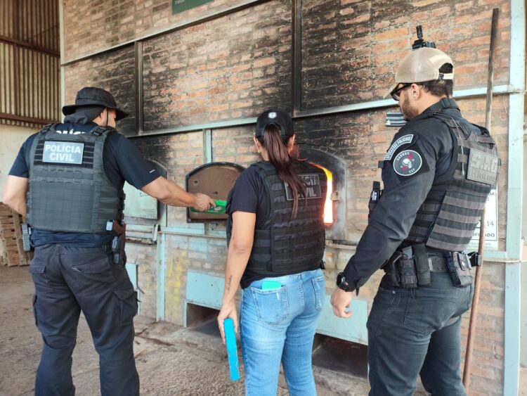 Polícia Civil incinera droga avaliada em mais de R$ 2 milhões, em Amambai