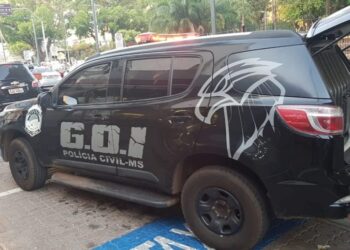 Polícia prende ladra que estava escondida no Parque do Lageado