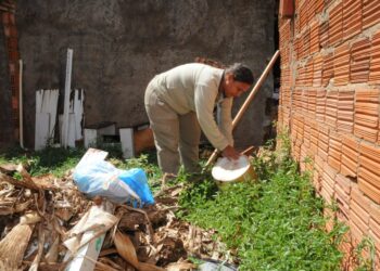 Prefeitura intensifica fiscalizações em terrenos baldios, em Campo Grande