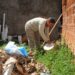 Prefeitura intensifica fiscalizações em terrenos baldios, em Campo Grande