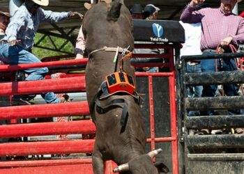 Campeonato com ‘robô cowboy’ será uma das atrações do CLC no fim de semana